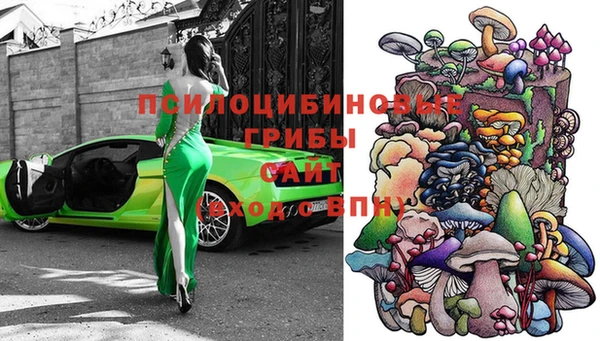 трава Михайловск