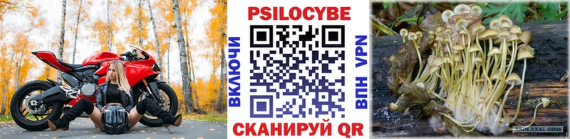 Псилоцибиновые грибы прущие грибы  Купить закладки  Мытищи 
